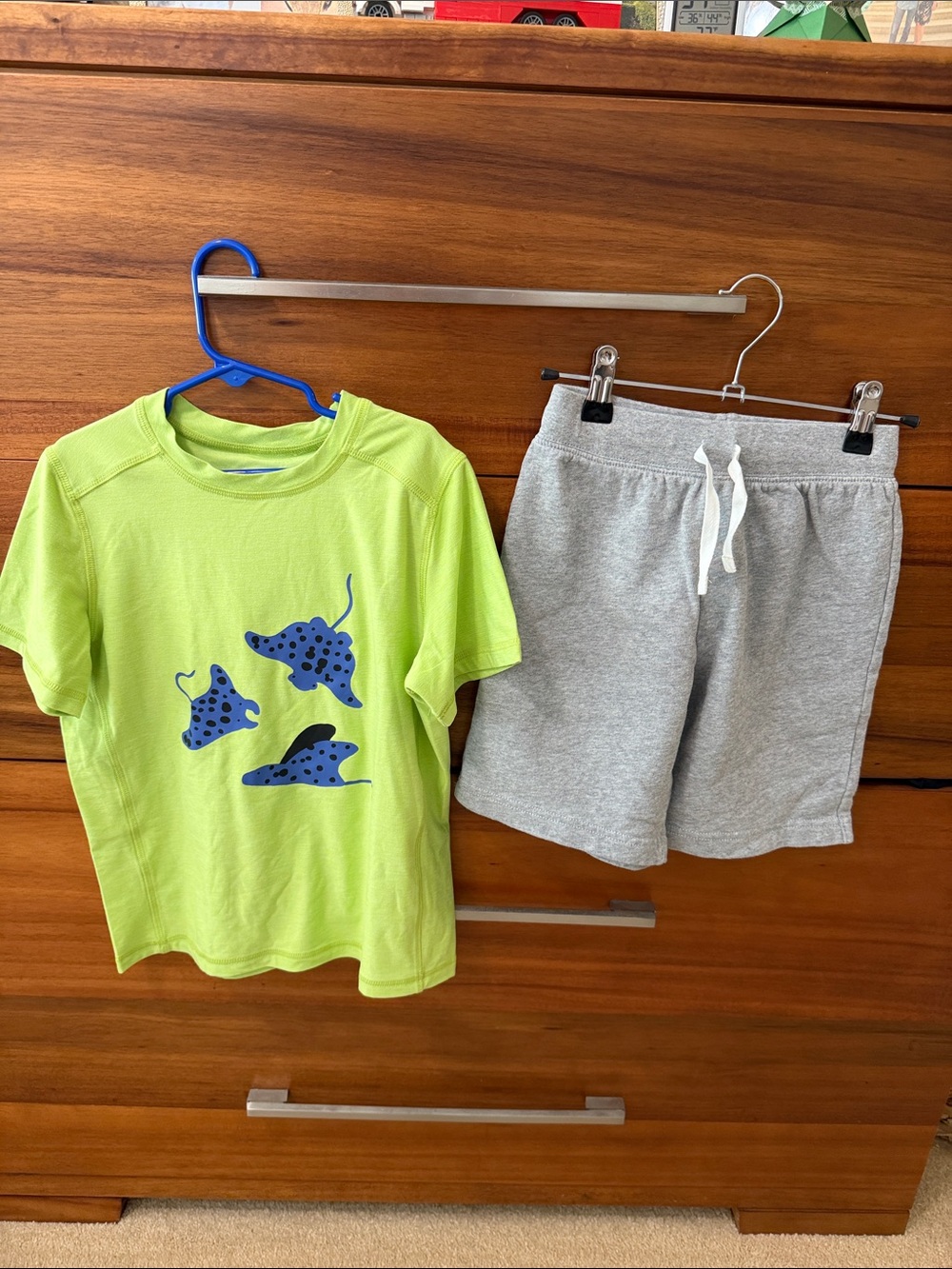 Hanna Andersson Lime Green Tee with Blue Stingray Graphic & Light Gray Shorts